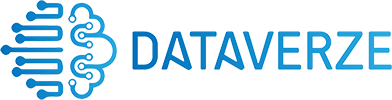 Dataverze Logo